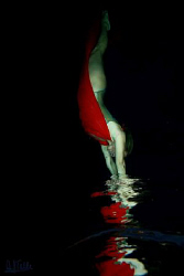 This is one of the pictures I submitted for the "Sandisk ... by Arthur Telle Thiemann 